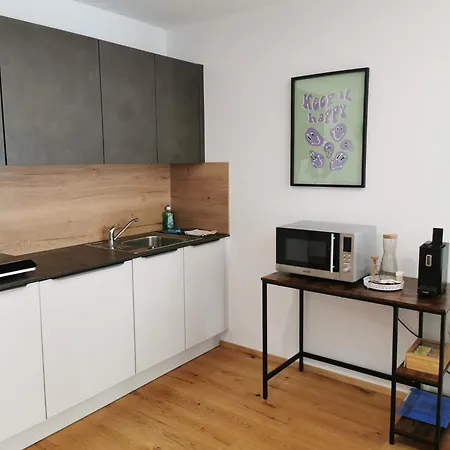 Apartment Neue Rittertal Im Zentrum Von Am Traunsee *
